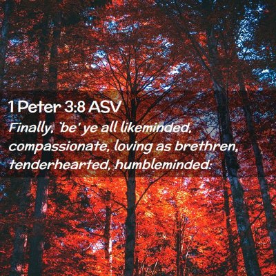 Picture 02 - 1 Peter 3:8 ASV - Finally, `be' ye all likeminded, compassionate, - Bible Verse Picture