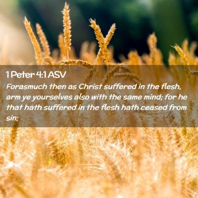 Picture 02 - 1 Peter 4:1 ASV - Forasmuch then as Christ suffered in the flesh, - Bible Verse Picture