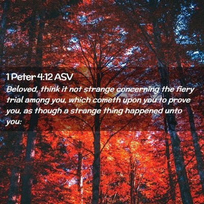 Picture 02 - 1 Peter 4:12 ASV - Beloved, think it not strange concerning the - Bible Verse Picture