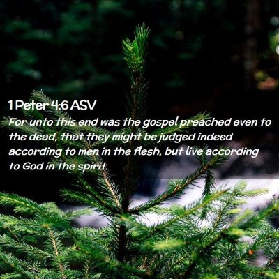 Picture 02 - 1 Peter 4:6 ASV - For unto this end was the gospel preached even to - Bible Verse Picture