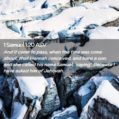 Picture 02 - 1 Samuel 1:20 ASV - And it came to pass, when the time was come - Bible Verse Picture