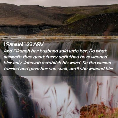 Picture 02 - 1 Samuel 1:23 ASV - And Elkanah her husband said unto her, Do what - Bible Verse Picture