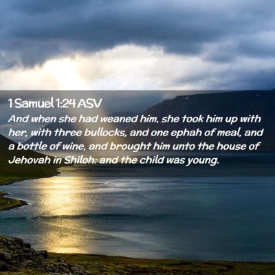 Picture 02 - 1 Samuel 1:24 ASV - And when she had weaned him, she took him up with - Bible Verse Picture