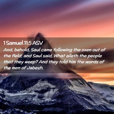 Picture 02 - 1 Samuel 11:5 ASV - And, behold, Saul came following the oxen out of - Bible Verse Picture