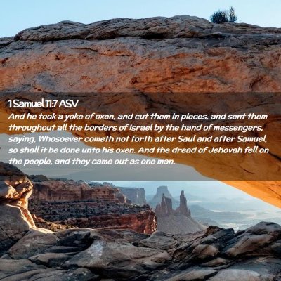 Picture 02 - 1 Samuel 11:7 ASV - And he took a yoke of oxen, and cut them in - Bible Verse Picture