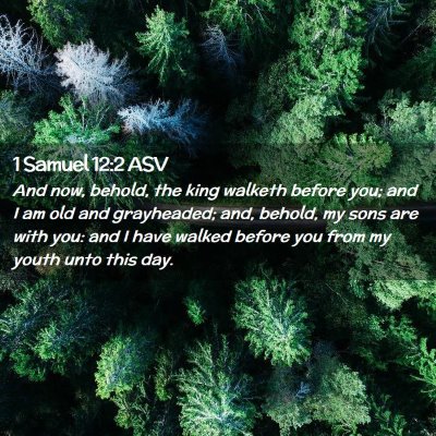 Picture 02 - 1 Samuel 12:2 ASV - And now, behold, the king walketh before you; and - Bible Verse Picture