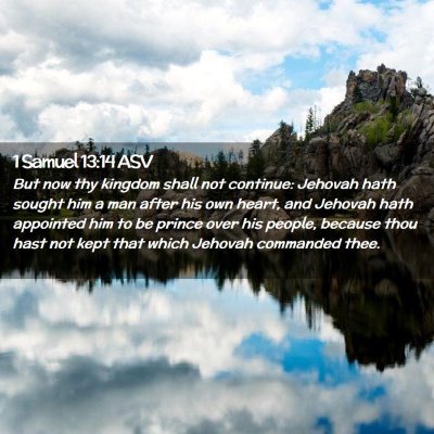 Picture 02 - 1 Samuel 13:14 ASV - But now thy kingdom shall not continue: Jehovah - Bible Verse Picture