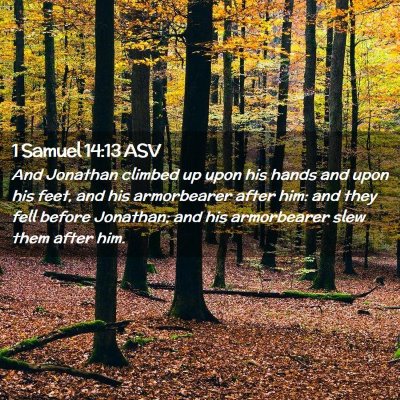 Picture 02 - 1 Samuel 14:13 ASV - And Jonathan climbed up upon his hands and upon - Bible Verse Picture