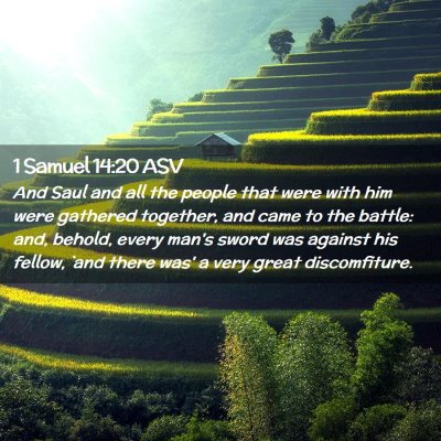 Picture 02 - 1 Samuel 14:20 ASV - And Saul and all the people that were with him - Bible Verse Picture