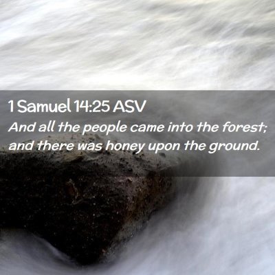 Picture 02 - 1 Samuel 14:25 ASV - And all the people came into the forest; and - Bible Verse Picture