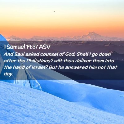 Picture 02 - 1 Samuel 14:37 ASV - And Saul asked counsel of God, Shall I go down - Bible Verse Picture