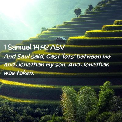 Picture 02 - 1 Samuel 14:42 ASV - And Saul said, Cast `lots' between me and - Bible Verse Picture