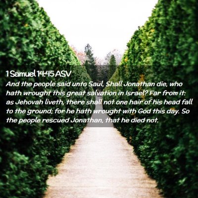 Picture 02 - 1 Samuel 14:45 ASV - And the people said unto Saul, Shall Jonathan - Bible Verse Picture