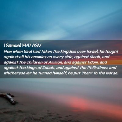 Picture 02 - 1 Samuel 14:47 ASV - Now when Saul had taken the kingdom over Israel, - Bible Verse Picture
