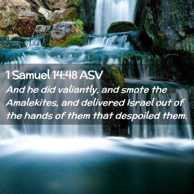 Picture 02 - 1 Samuel 14:48 ASV - And he did valiantly, and smote the Amalekites, - Bible Verse Picture