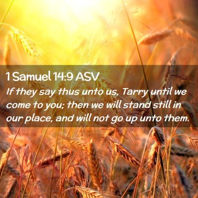 Picture 02 - 1 Samuel 14:9 ASV - If they say thus unto us, Tarry until we come to - Bible Verse Picture
