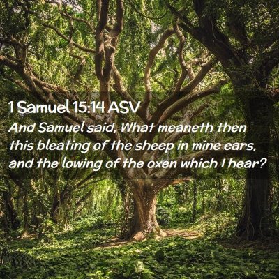 Picture 02 - 1 Samuel 15:14 ASV - And Samuel said, What meaneth then this bleating - Bible Verse Picture