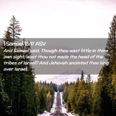 Picture 02 - 1 Samuel 15:17 ASV - And Samuel said, Though thou wast little in thine - Bible Verse Picture