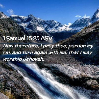 Picture 02 - 1 Samuel 15:25 ASV - Now therefore, I pray thee, pardon my sin, and - Bible Verse Picture