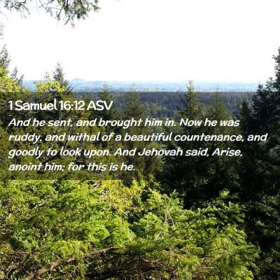 Picture 02 - 1 Samuel 16:12 ASV - And he sent, and brought him in. Now he was - Bible Verse Picture