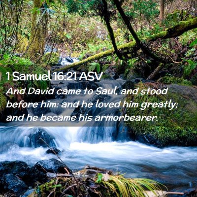 Picture 02 - 1 Samuel 16:21 ASV - And David came to Saul, and stood before him: and - Bible Verse Picture