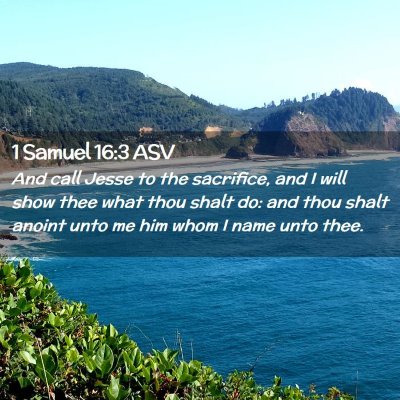 Picture 02 - 1 Samuel 16:3 ASV - And call Jesse to the sacrifice, and I will show - Bible Verse Picture