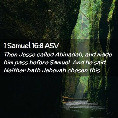 Picture 02 - 1 Samuel 16:8 ASV - Then Jesse called Abinadab, and made him pass - Bible Verse Picture