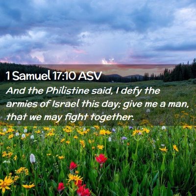 Picture 02 - 1 Samuel 17:10 ASV - And the Philistine said, I defy the armies of - Bible Verse Picture