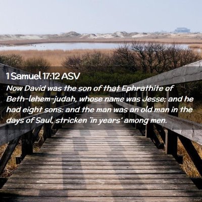 Picture 02 - 1 Samuel 17:12 ASV - Now David was the son of that Ephrathite of - Bible Verse Picture