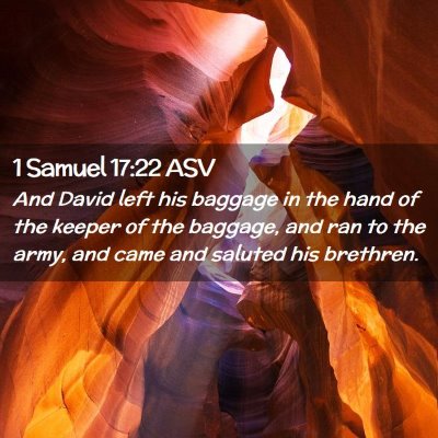Picture 02 - 1 Samuel 17:22 ASV - And David left his baggage in the hand of the - Bible Verse Picture