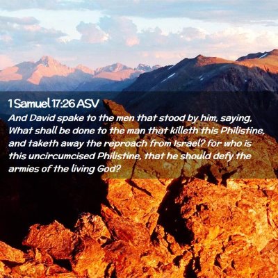 Picture 02 - 1 Samuel 17:26 ASV - And David spake to the men that stood by him, - Bible Verse Picture