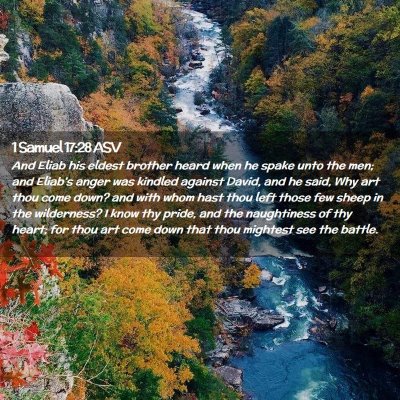 Picture 02 - 1 Samuel 17:28 ASV - And Eliab his eldest brother heard when he spake - Bible Verse Picture