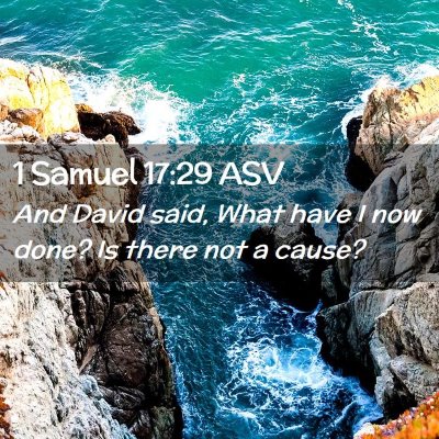 Picture 02 - 1 Samuel 17:29 ASV - And David said, What have I now done? Is there - Bible Verse Picture