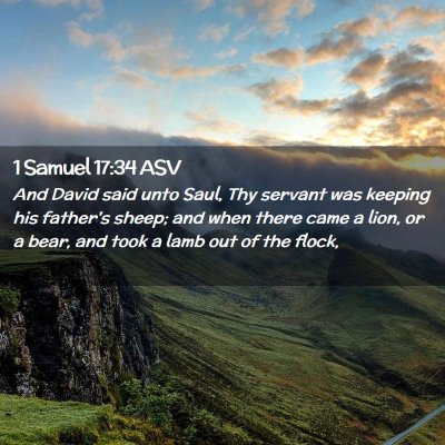 Picture 02 - 1 Samuel 17:34 ASV - And David said unto Saul, Thy servant was keeping - Bible Verse Picture