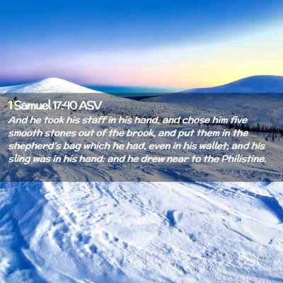 Picture 02 - 1 Samuel 17:40 ASV - And he took his staff in his hand, and chose him - Bible Verse Picture