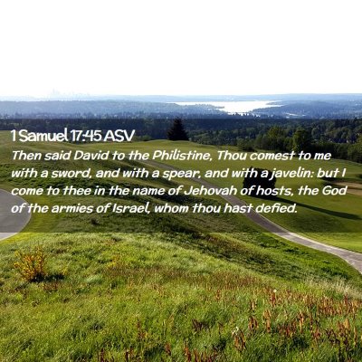 Picture 02 - 1 Samuel 17:45 ASV - Then said David to the Philistine, Thou comest to - Bible Verse Picture