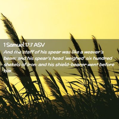 Picture 02 - 1 Samuel 17:7 ASV - And the staff of his spear was like a weaver's - Bible Verse Picture