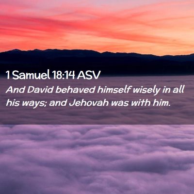 Picture 02 - 1 Samuel 18:14 ASV - And David behaved himself wisely in all his ways; - Bible Verse Picture