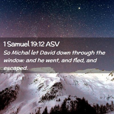 Picture 02 - 1 Samuel 19:12 ASV - So Michal let David down through the window: and - Bible Verse Picture