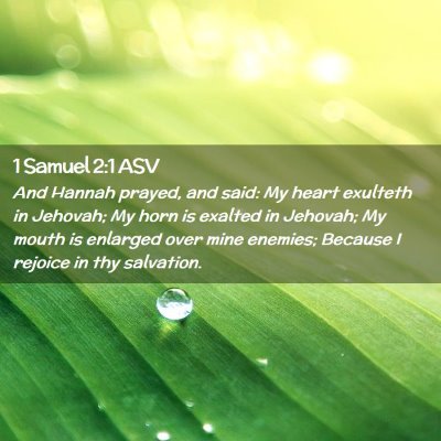 Picture 02 - 1 Samuel 2:1 ASV - And Hannah prayed, and said: My heart exulteth in - Bible Verse Picture