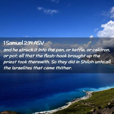 Picture 02 - 1 Samuel 2:14 ASV - and he struck it into the pan, or kettle, or - Bible Verse Picture