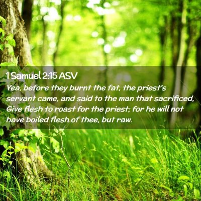 Picture 02 - 1 Samuel 2:15 ASV - Yea, before they burnt the fat, the priest's - Bible Verse Picture