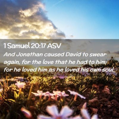 Picture 02 - 1 Samuel 20:17 ASV - And Jonathan caused David to swear again, for the - Bible Verse Picture
