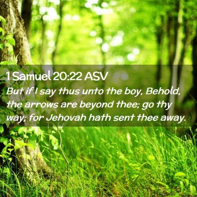Picture 02 - 1 Samuel 20:22 ASV - But if I say thus unto the boy, Behold, the - Bible Verse Picture
