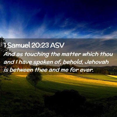 Picture 02 - 1 Samuel 20:23 ASV - And as touching the matter which thou and I have - Bible Verse Picture