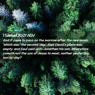 Picture 02 - 1 Samuel 20:27 ASV - And it came to pass on the morrow after the new - Bible Verse Picture