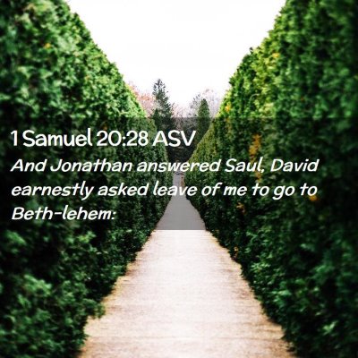 Picture 02 - 1 Samuel 20:28 ASV - And Jonathan answered Saul, David earnestly asked - Bible Verse Picture
