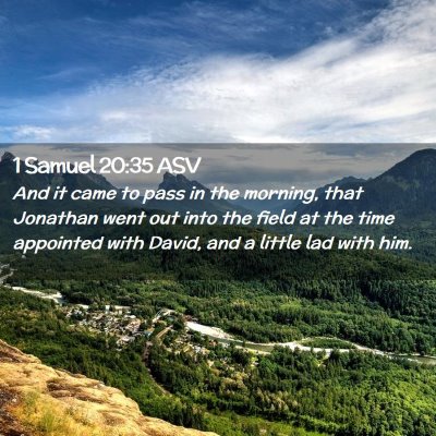 Picture 02 - 1 Samuel 20:35 ASV - And it came to pass in the morning, that Jonathan - Bible Verse Picture