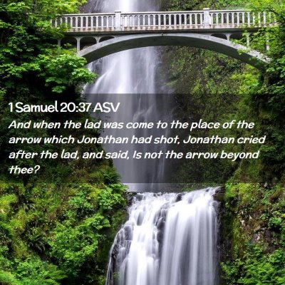 Picture 02 - 1 Samuel 20:37 ASV - And when the lad was come to the place of the - Bible Verse Picture