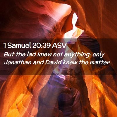 Picture 02 - 1 Samuel 20:39 ASV - But the lad knew not anything: only Jonathan and - Bible Verse Picture